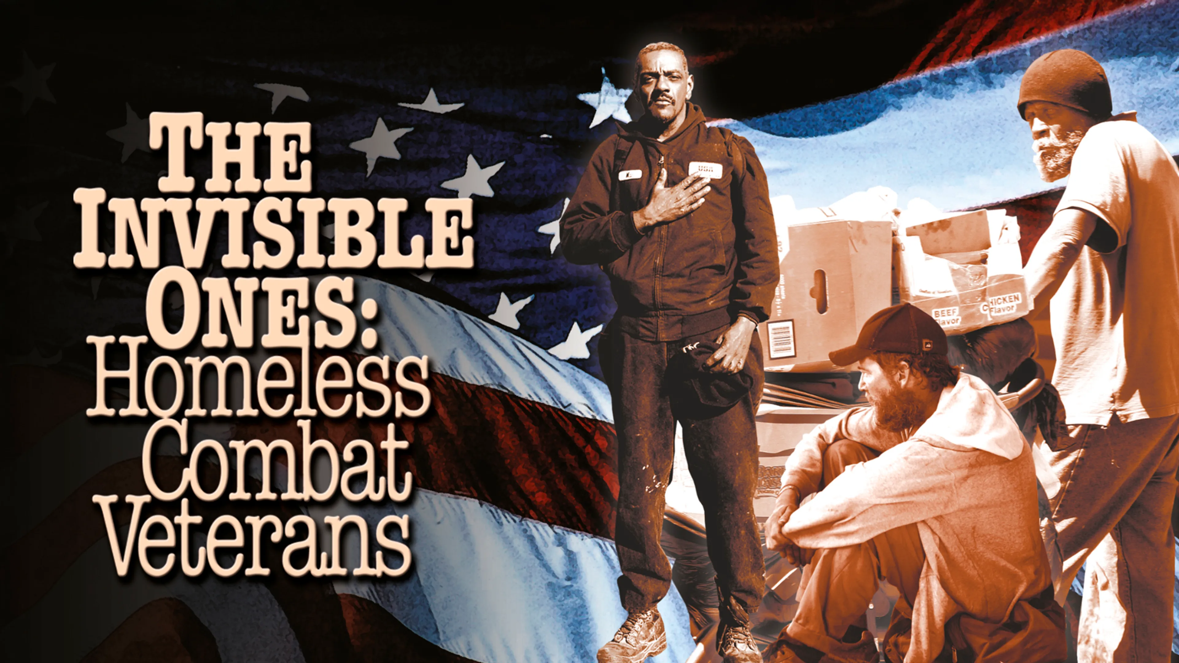 The Invisible Ones: Homeless Combat Veterans poster